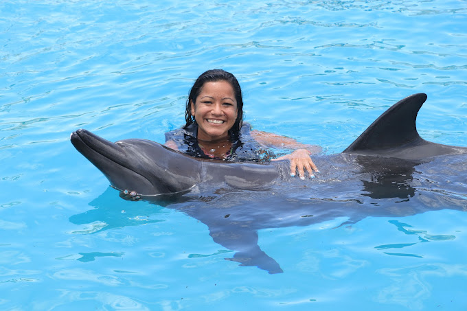 swim-with-dolphins-in-cancun 2